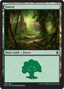 Forest - Khans of Tarkir