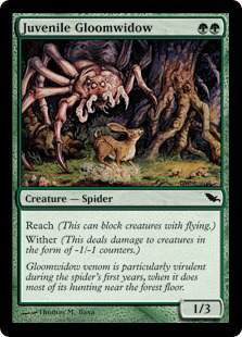 Juvenile Gloomwidow - Shadowmoor