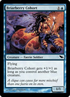 Briarberry Cohort - Shadowmoor