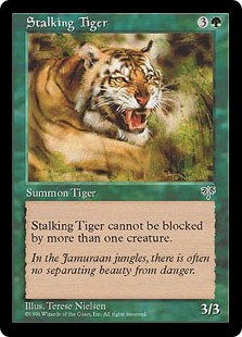 Stalking Tiger - Mirage