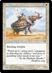 Noble Elephant - Mirage