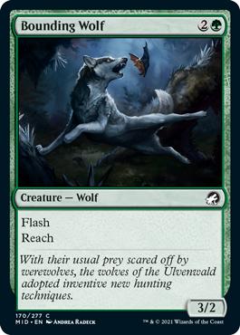 Bounding Wolf - Innistrad: Midnight Hunt