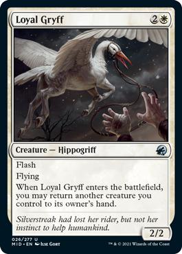 Loyal Gryff - Innistrad: Midnight Hunt