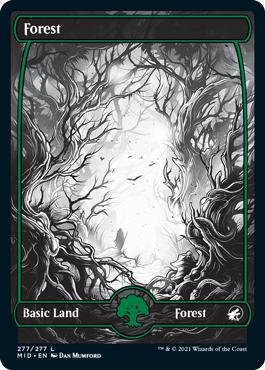 Forest - Innistrad: Midnight Hunt