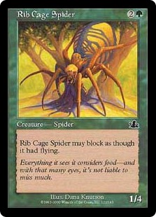 Rib Cage Spider - Prophecy