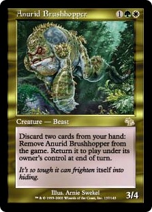 Anurid Brushhopper - Judgment