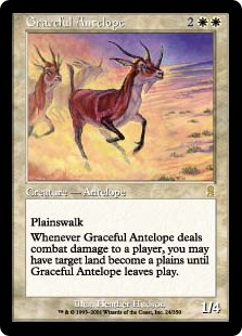 Graceful Antelope - Odyssey