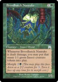 Broodhatch Nantuko - Onslaught