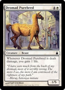 Dromad Purebred - Ravnica: City of Guilds