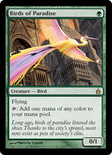 Birds of Paradise - Ravnica: City of Guilds