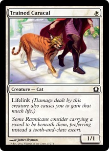 Trained Caracal - Return to Ravnica
