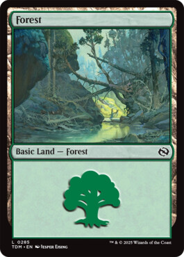 Forest - Tarkir: Dragonstorm