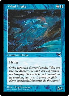 Wind Drake - Tempest