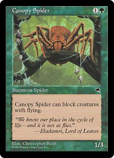 Canopy Spider - Tempest