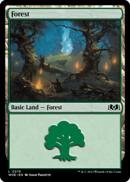 Forest - Wilds of Eldraine