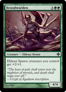 Broodwarden - Rise of the Eldrazi