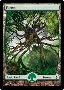 Forest - Zendikar