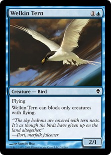 Welkin Tern - Zendikar