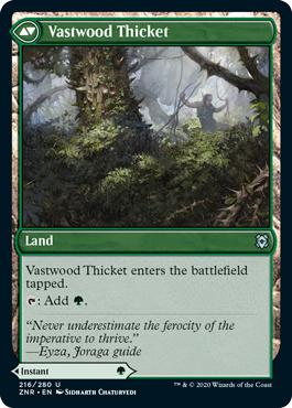 Vastwood Thicket - Zendikar Rising