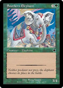Southern Elephant - Starter 1999