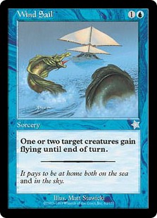 Wind Sail - Starter 1999