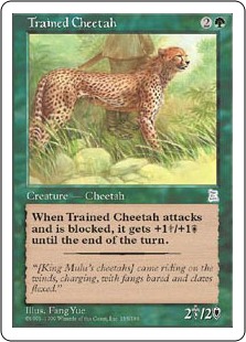 Trained Cheetah - Portal Three Kingdoms