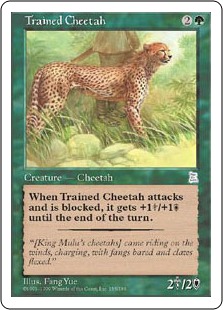 Trained Cheetah - Portal Three Kingdoms