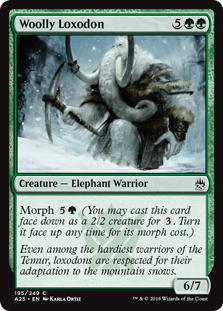 Woolly Loxodon - Masters 25