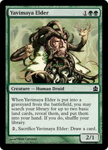 Yavimaya Elder - Magic: The Gathering-Commander
