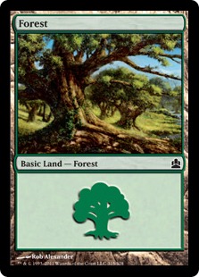 Forest - Magic: The Gathering-Commander