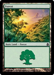 Forest - Magic: The Gathering-Commander