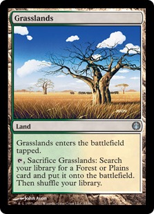 Grasslands - Duel Decks: Knights vs. Dragons