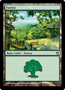 Forest - Duel Decks: Ajani vs. Nicol Bolas