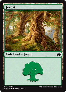 Forest - Duel Decks: Kiora vs. Elspeth