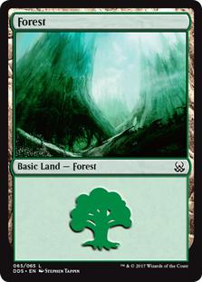 Forest - Duel Decks: Mind vs. Might