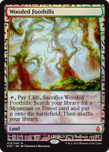 Wooded Foothills - Zendikar Expeditions