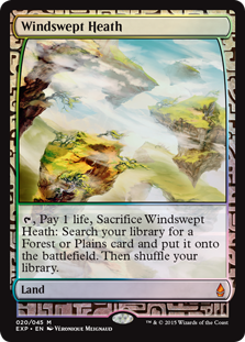 Windswept Heath - Zendikar Expeditions