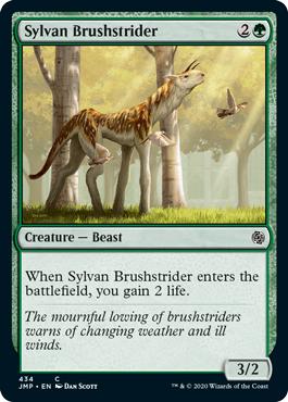 Sylvan Brushstrider - Jumpstart