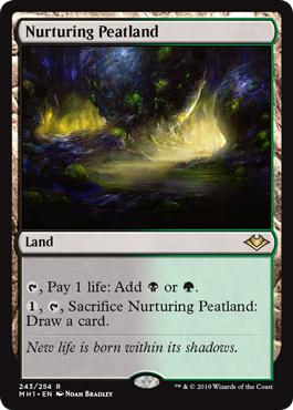 Nurturing Peatland - Modern Horizons