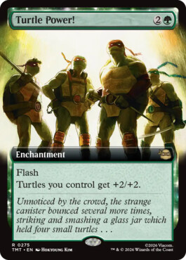 Turtle Power! - Teenage Mutant Ninja Turtles