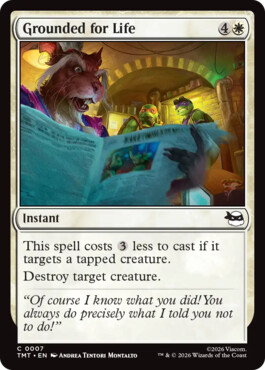 Grounded for Life - Teenage Mutant Ninja Turtles