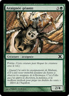 Araignée géante - 10ième Edition
