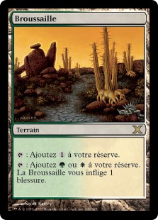 Broussaille - 10ième Edition