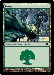 Forêt - 10ième Edition