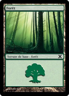 Forêt - 10ième Edition