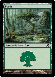 Forêt - 10ième Edition