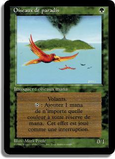 Oiseaux de paradis - 3ième Edition (limitée)