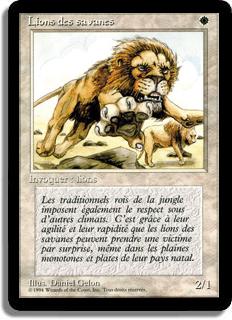Lions des savanes - 3ième Edition (limitée)