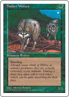 Loups des forêts - 4ième Edition