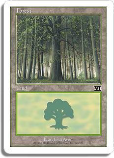 Forêt - 6ième Edition